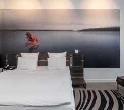 Номер комфорт с 1 двуспальной кроватью в Novotel