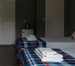 Двухместный номер с двумя односпальными кроватями в Alisa Home