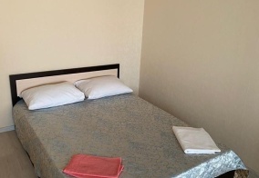 Апартаменты Апартаменты на Ул. Антонова-Овсеенко 33Б в Воронеже