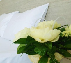 Двухместный номер Standard двуспальная кровать в Оазис Клаб Резорт