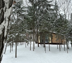 Дом "У берёзы"(40кв.м.) в Рассвет