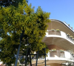 Апартаменты Standard в Hotel Buratti