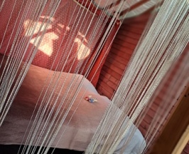 Юрта четырехместная в Золотая юрта