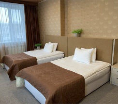 Двухместный люкс в Дружба