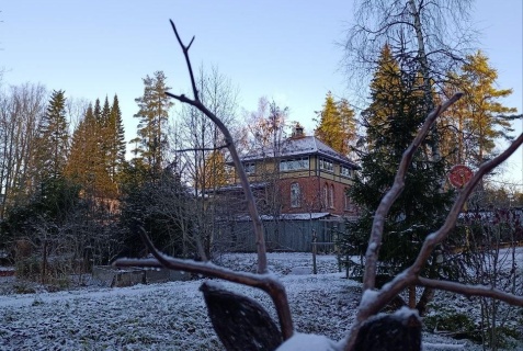 Осельки: Коттедж Осельки