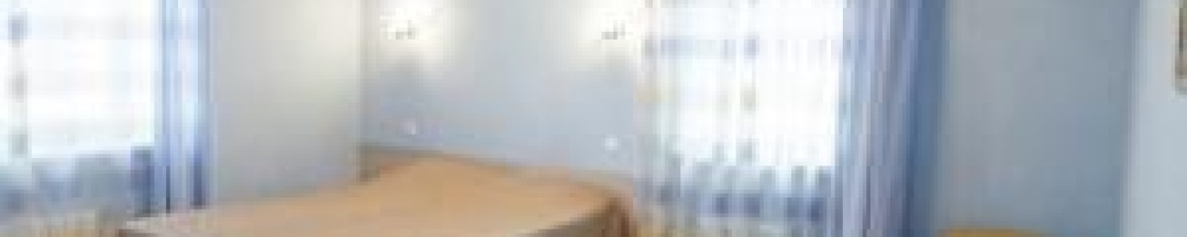 Номер полулюкс с 1 двуспальной кроватью в Лесная сказка