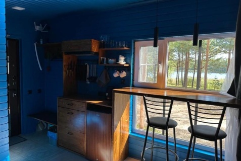 Боровские: Коттедж Reo Rest-Лесное озеро