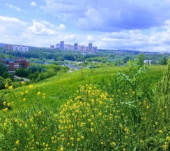 Delux в Homestay Uley