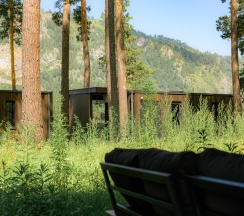 ДОМ ЛЕС  (Дом в Лесу) в Катунь Dom Hotels