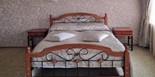 Шатура: Отель Шатура холл