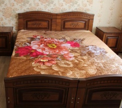 Двухместный номер в Панорама