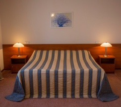 Двухместный Люкс Большой двуспальная кровать в Гостиница Спутник