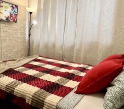 1-комнатные апартаменты стандарт в Диван и Чемодан