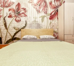 Апартаменты Economy c 1 комнатой с балконом в Super Hostel