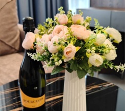 Улучшенный джуниор сюит в Смольнинская