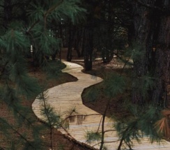 Большая дача с террасой в Синий Яр