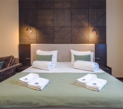 Двухместный номер "Комфорт" Улучшенный с 1 двуспальной кроватью в Ассара