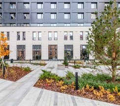 Studio Standart 19,7 в Well