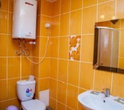 Люкс (334) в Цна