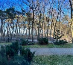 Апартаменты с 2 спальнями в Golden Sun