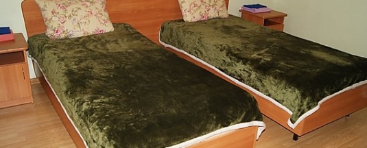 Номер стандарт с 2 односпальными кроватями в Парадокс