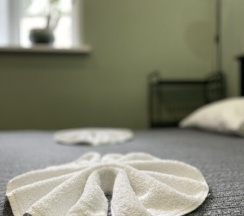 Двухместный с большой кроватью УЛУЧШЕННЫЙ в Живи и путешествуй