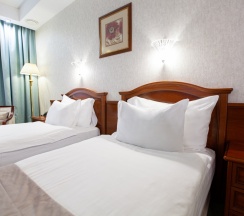 DELUXE TWIN PREMIUM в Видгоф