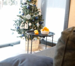 Смарт Студия в Вуокса-хутор