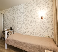 Двухместный номер с 2 односпальными кроватями в Apart house