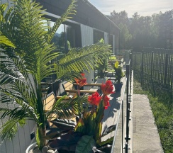 Стандарт улучшенный - оснащен оборудованием для малоподвижных граждан в Игуана