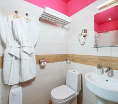 Номер стандарт с 1 двуспальной кроватью в AurA City Hotel