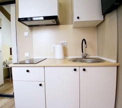 1-местный номер студия (мансарда) в Апарт-отель