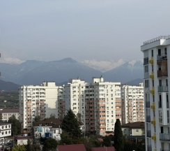 Однокомнатный Делюкс (164) в Frukty Rent
