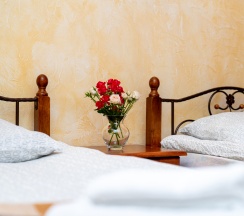 Двухместный номер с 2 односпальными кроватями в Anamero