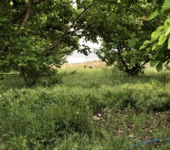 Вилла Deluxe в Sky Canyon