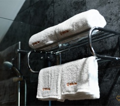 Двухместный люкс с одной кроватью и 1 дополнительной кроватью в Fox inn hotel
