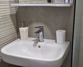 Стандарт в Фаина