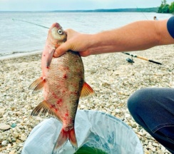 Дом с мангалом в Адмирал