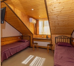 Двухместный номер Standard Мансарда с видом на город 2 отдельные кровати в Георгиевский