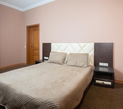 Апартаменты улучшенные №301 в Hotel central