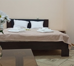 Двухместный номер (стандартный двухместный номер с кроватью king-size) в Spa-hotel Plaza
