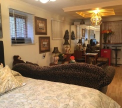 Двухместный номер Superior двуспальная кровать в Diana's Luxury Bed and Breakfast