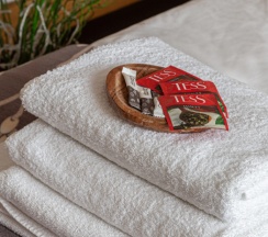 Двухместный номер Economy двуспальная кровать в Янка