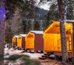 Двухместное шале Classic с красивым видом из окна двуспальная кровать в Forest house resort