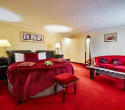 Номер делюкс с 1 двуспальной кроватью в Гранд мандарин