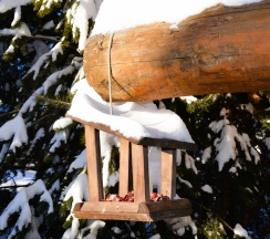 Дом в Евразия