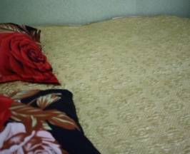 Номер стандарт с 1 двуспальной кроватью в Селенга