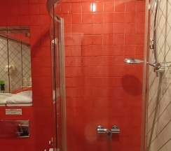 Двухместный номер Comfort двуспальная кровать в Летучая мышь