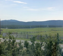 Дом в Гостевой дом