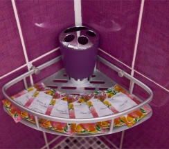 3-х местный без балкона в Диса